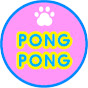 PONG PONG ASMR