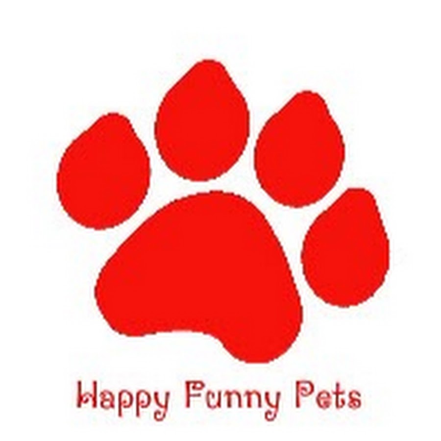 Happy Funny Pets
