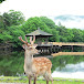 奈良公園ーNaraPark