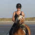 logo Rijstal Le Cheval Ameland