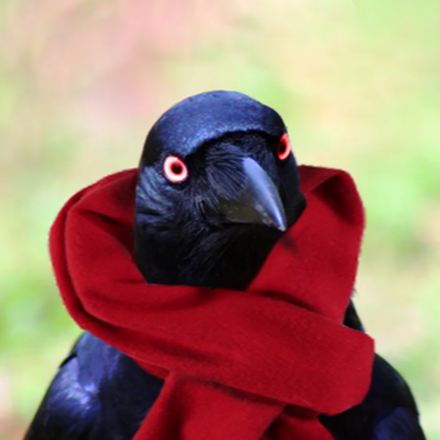 BirdScarf