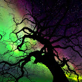 Artist Thumbnail