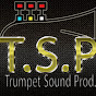 Trumpet Sound Production