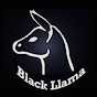 Black Llama