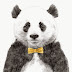 logo PandaProductions11