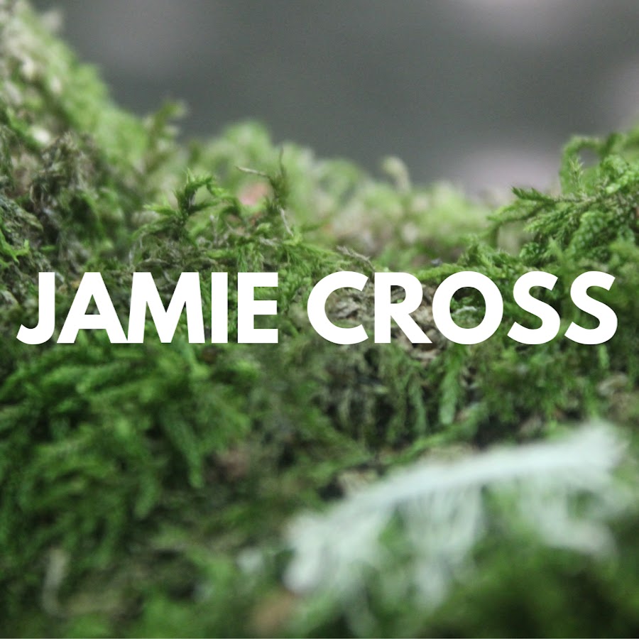 Jamie Cross