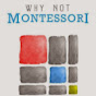 Why Not Montessori