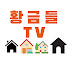 황금들TV