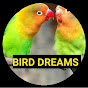 Bird Dreams