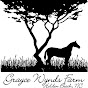 The Wild Horse Preserve at Grayce Wynds Farm