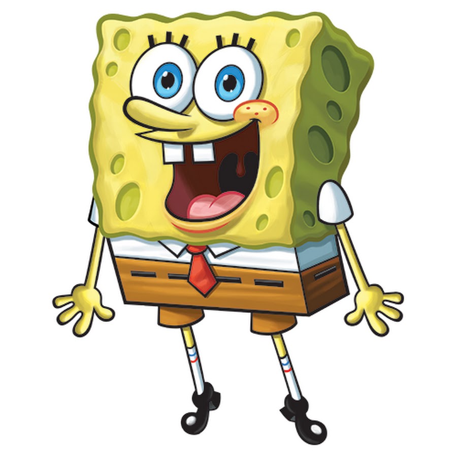 Как выглядят реальная губка боб SpongeBob Squarepants Spongebob Squarepants - YouTube