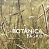 Botanica Fagro