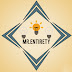 logo Mr. Entirety