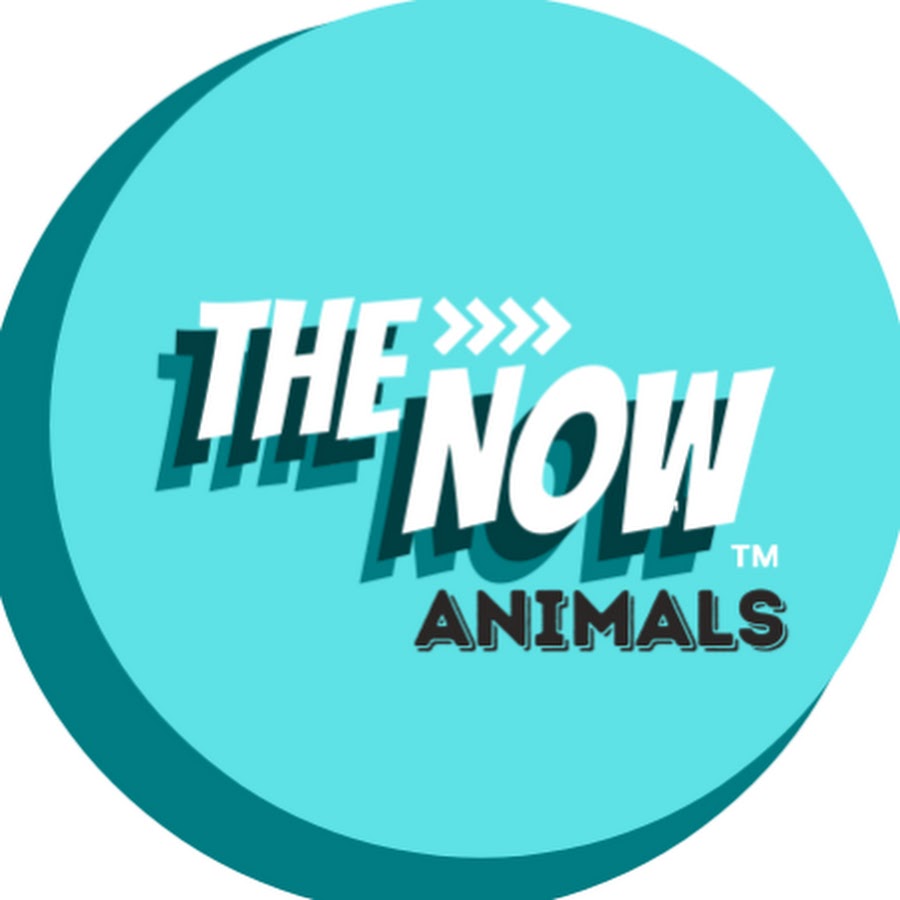 The Now Animals