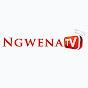 Ngwena TV