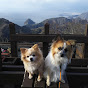 伊豆と犬と釣りのチャンネル