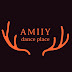 amiiy dance place