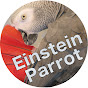 Einstein Parrot