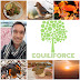 logo EQUILIFORCE - nature, cooking, well being