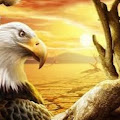 Artist Thumbnail