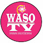 Waso TV