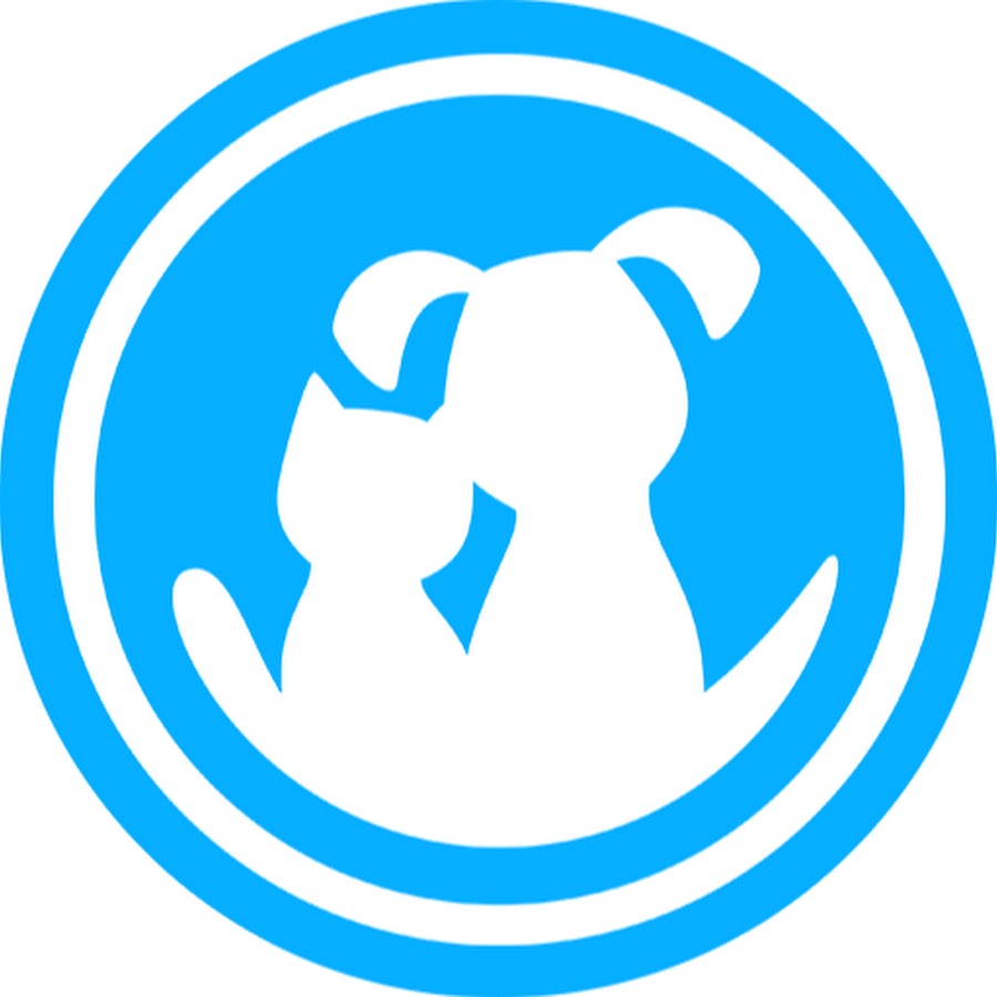 Vital Pet Life YouTube