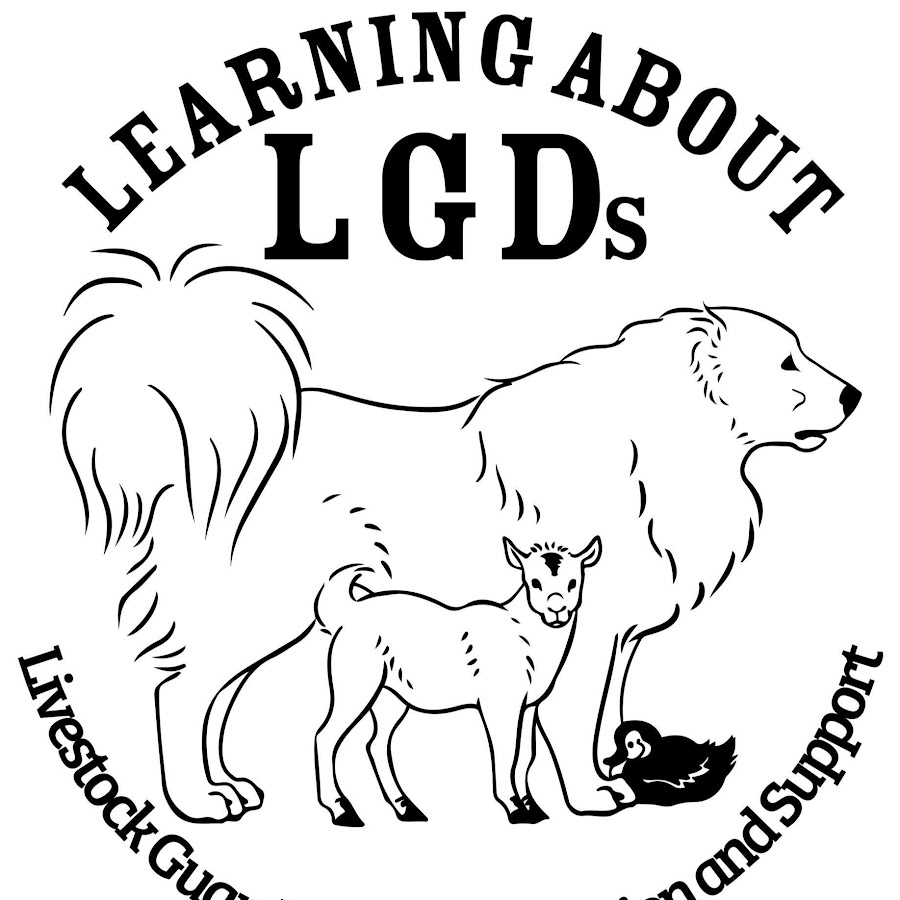 Learning About LGDs - YouTube