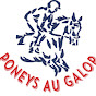 Poneys au Galop