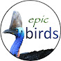 epicbirds