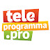 logo teleprogramma. pro