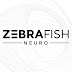 Zebrafish Neuro