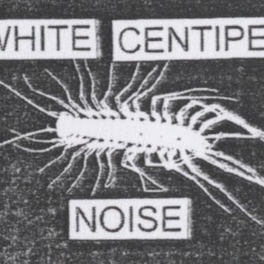 White Centipede Noise