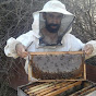 تربية النحل كما لم تعرفها من قبل