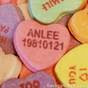 anlee19810121