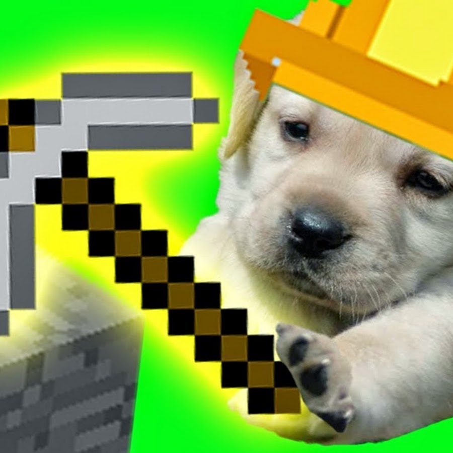 Как выглядит minecraft собака