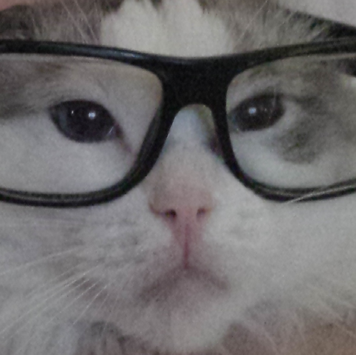 UC9E-Wr7bn3CV22Kaw-mDOPQ