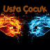 Usta Çocuk