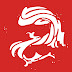 logo AeroKoi