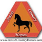 AmishCountryHorses