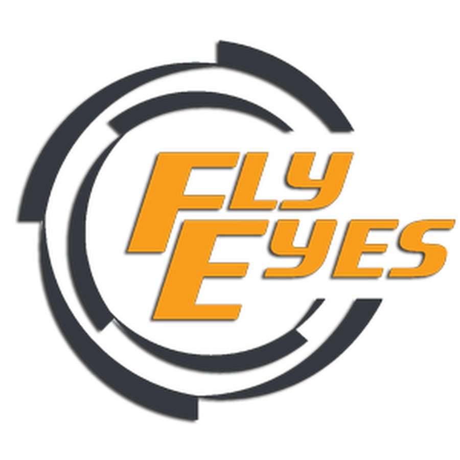 Fly Eyes Group