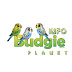 Budgies info Planet