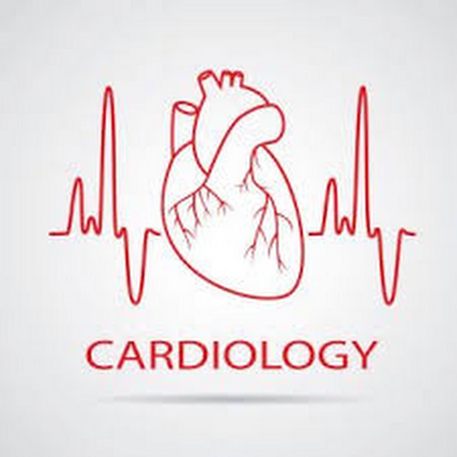 Cardiology Department Cairo University - YouTube