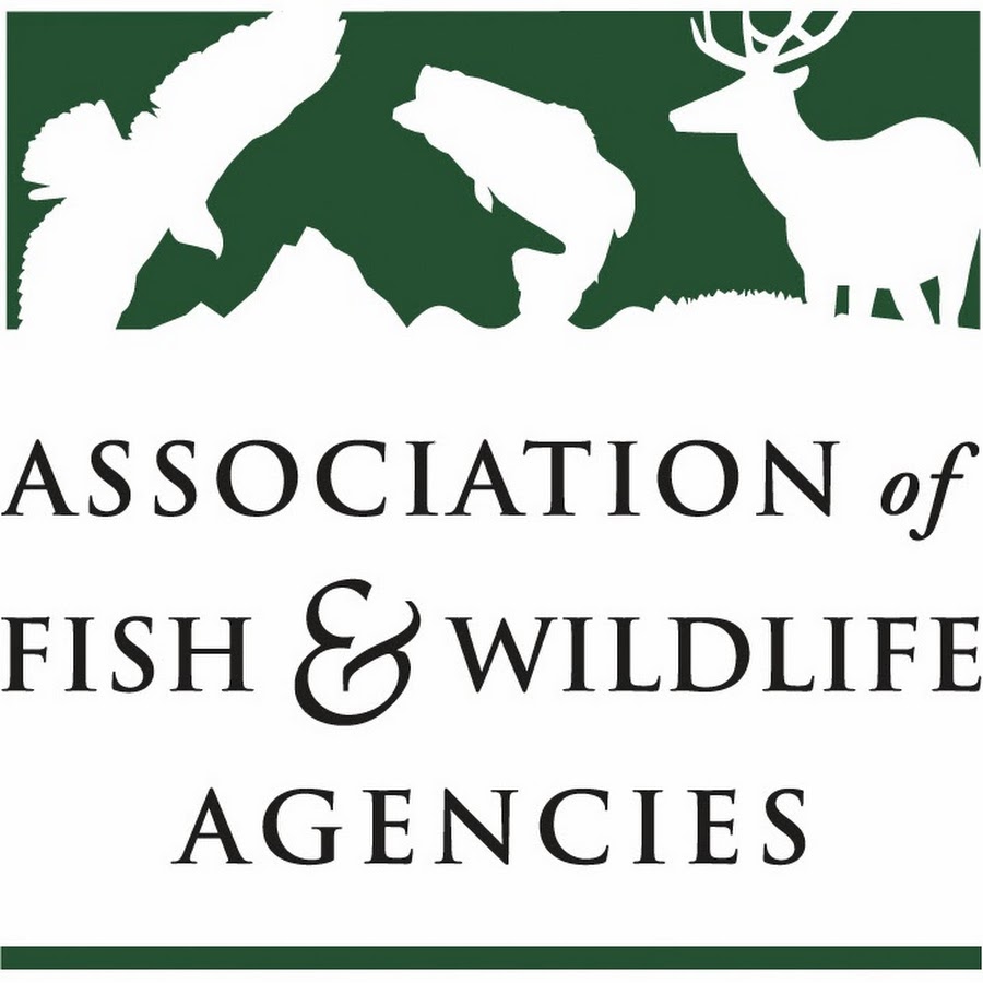 United States Fish and Wildlife service. АНО общество дикой природы Берсенев.