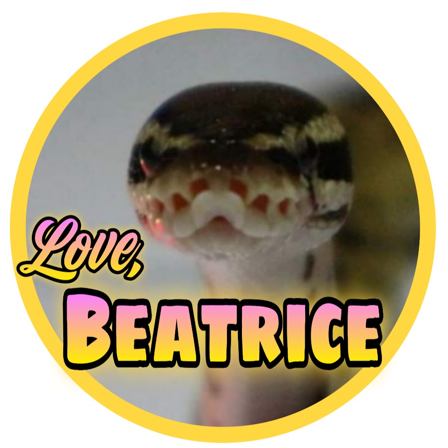 Love Beatrice YouTube