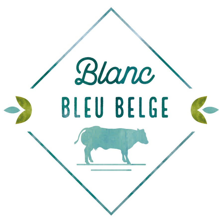 Blanc Bleu Belge - YouTube Blanc Bleu Belge
