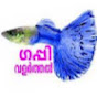 Guppy Valarthal ഗപ്പി വളർത്തൽ