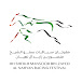 HH Sheikh Mansoor Bin Zayed Racing Festival