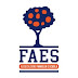 Scuole FAES Milano