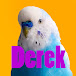 Derekthebird