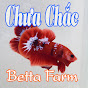 Chưa Chắc Betta Farm - Shop Betta Bình Dương